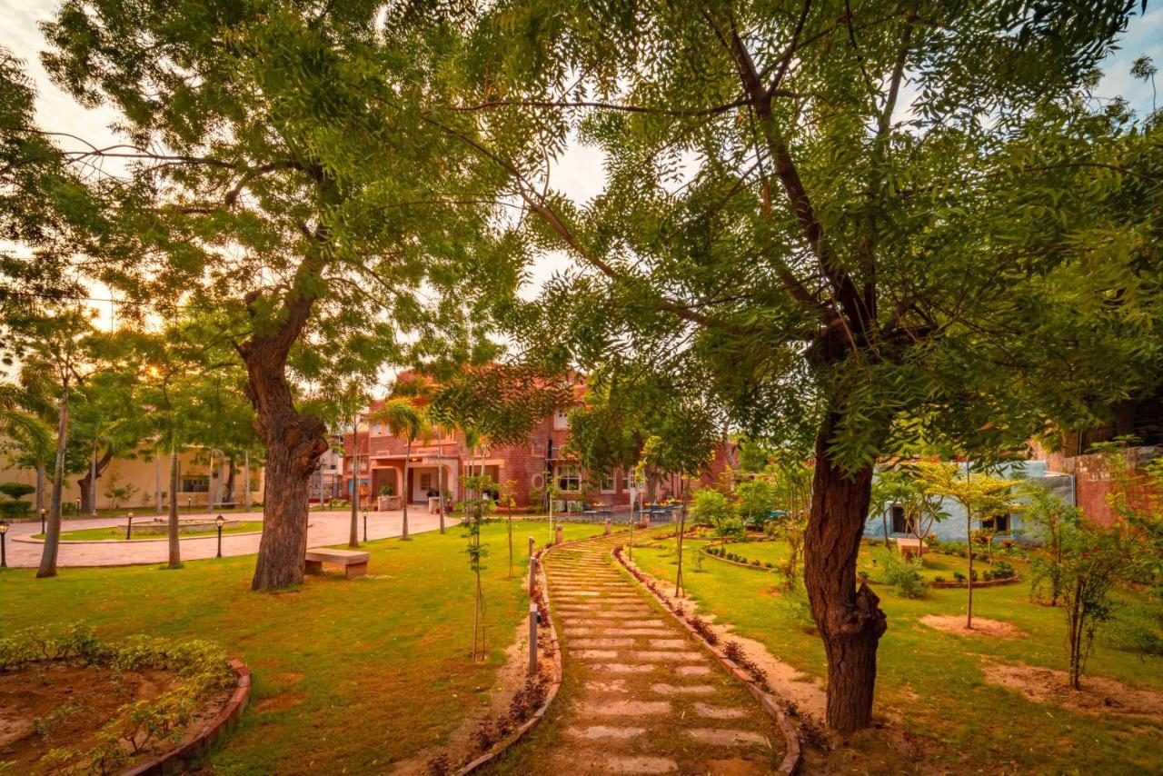 焦特布尔 Tree Of Life Bhadrajun House, Jodhpur酒店 外观 照片